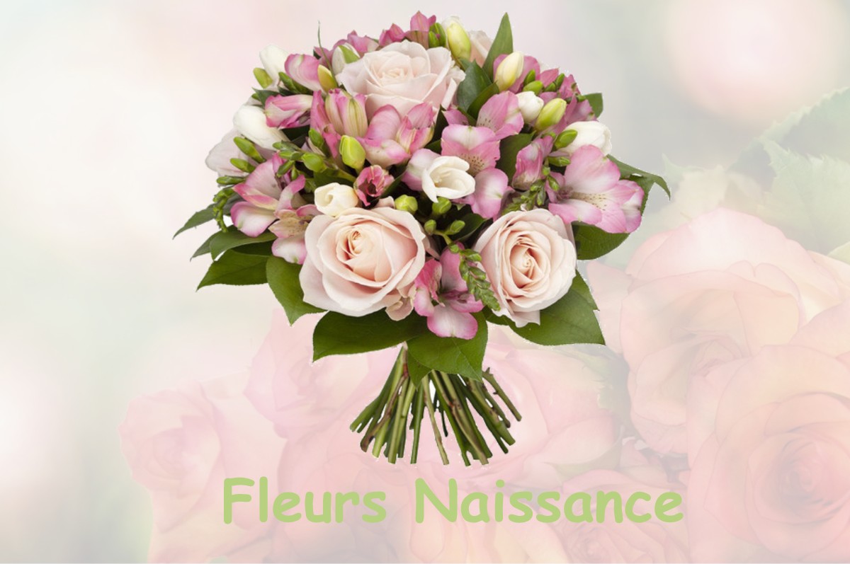 fleurs naissance GISSEY-LE-VIEIL